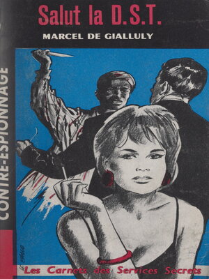 cover image of Salut la D.S.T.